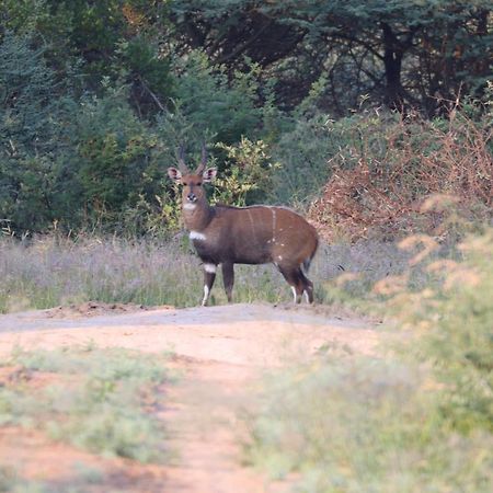 Ngangane Lodge & Reserve Francistown Kültér fotó
