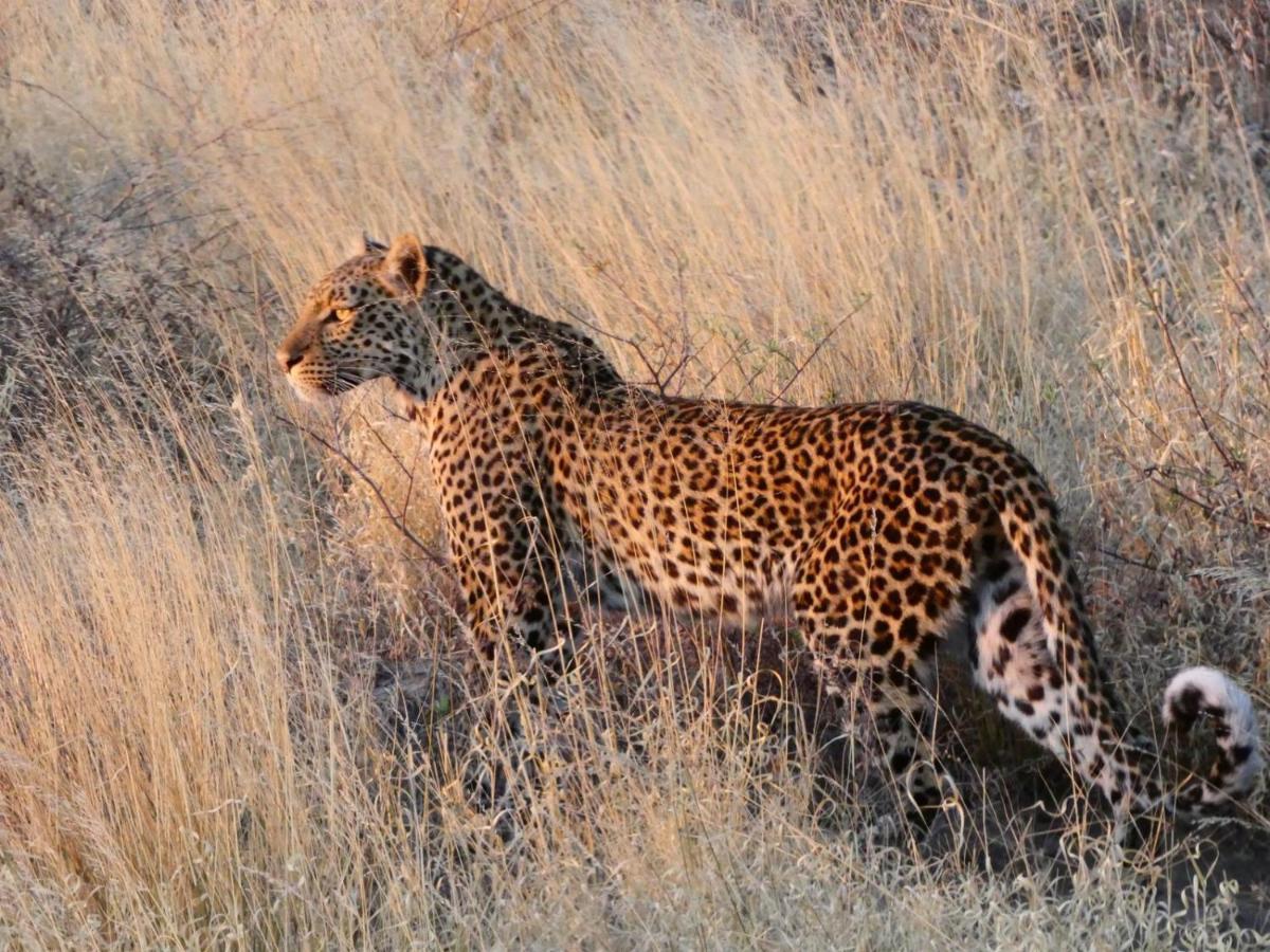 Ngangane Lodge & Reserve Francistown Kültér fotó