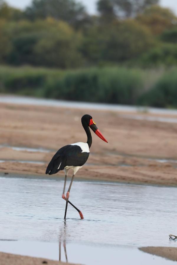 Ngangane Lodge & Reserve Francistown Kültér fotó