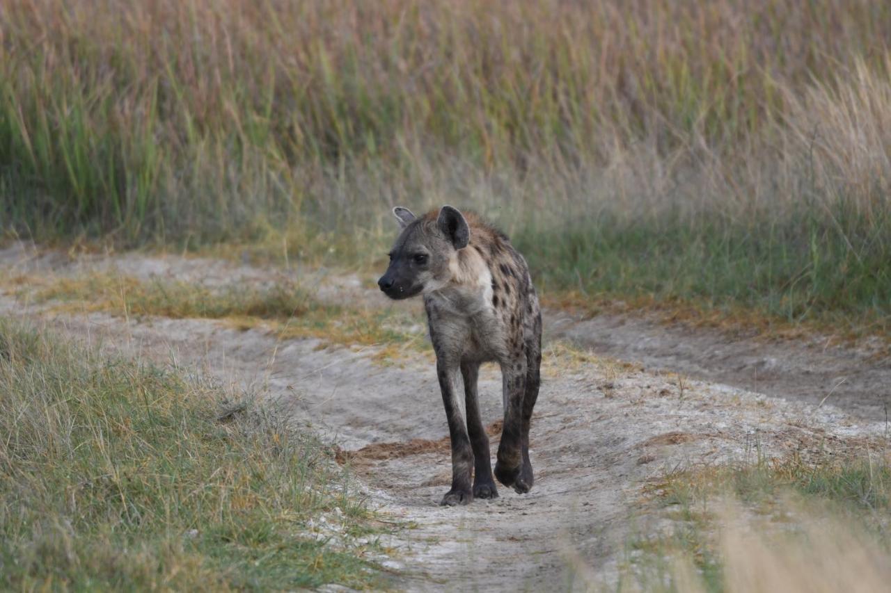 Ngangane Lodge & Reserve Francistown Kültér fotó