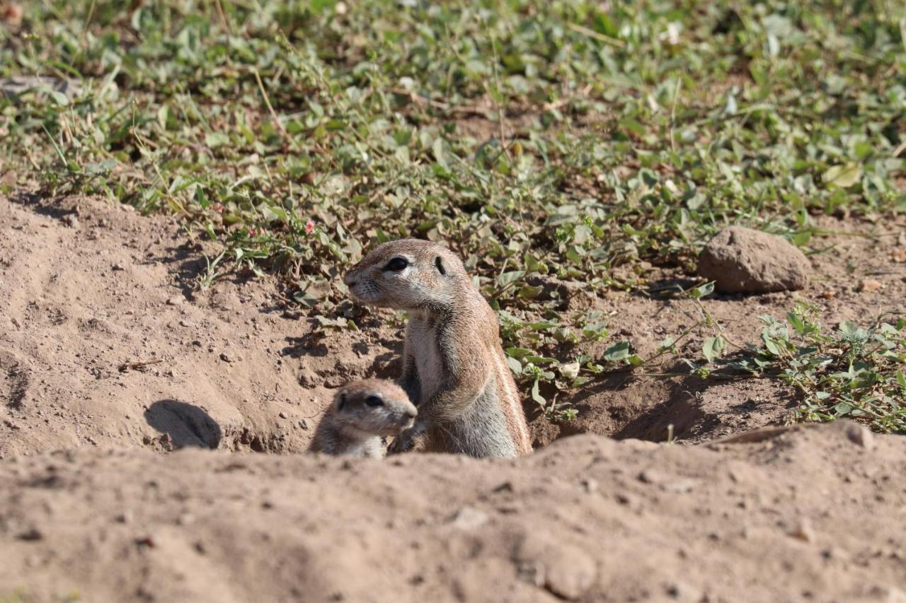 Ngangane Lodge & Reserve Francistown Kültér fotó