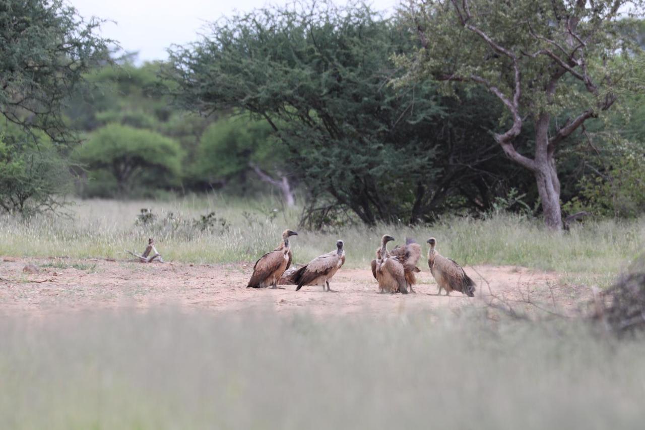 Ngangane Lodge & Reserve Francistown Kültér fotó
