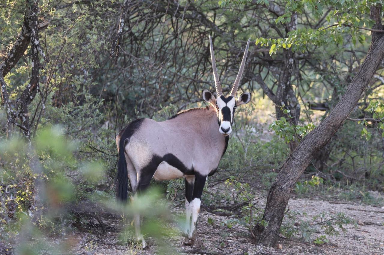 Ngangane Lodge & Reserve Francistown Kültér fotó